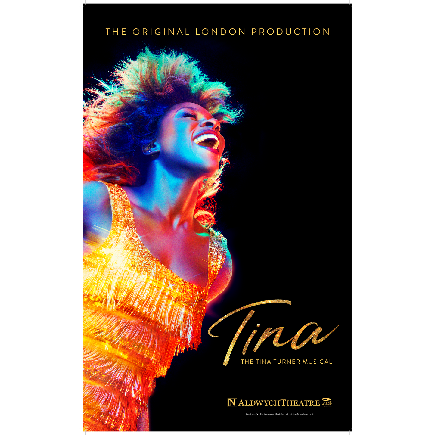 TINA Poster