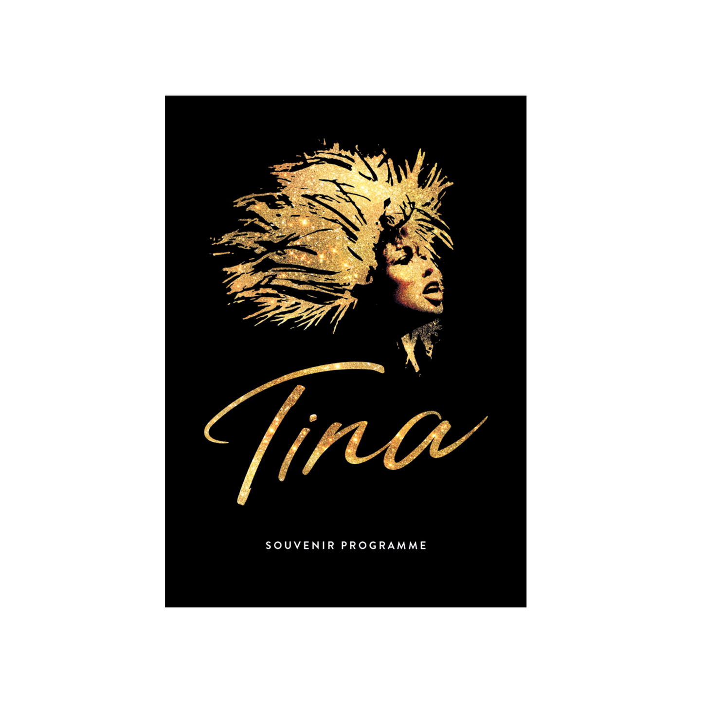 TINA UK & Ireland Tour Souvenir Brochure