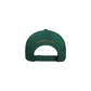 THE STANDARD OF LIVING The Great Persuader Cap