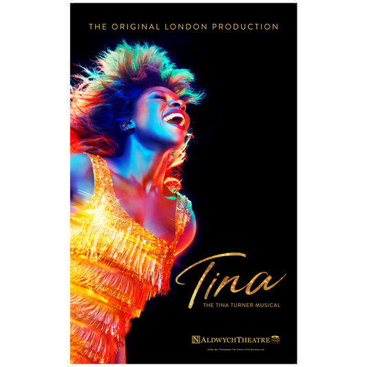 TINA Poster