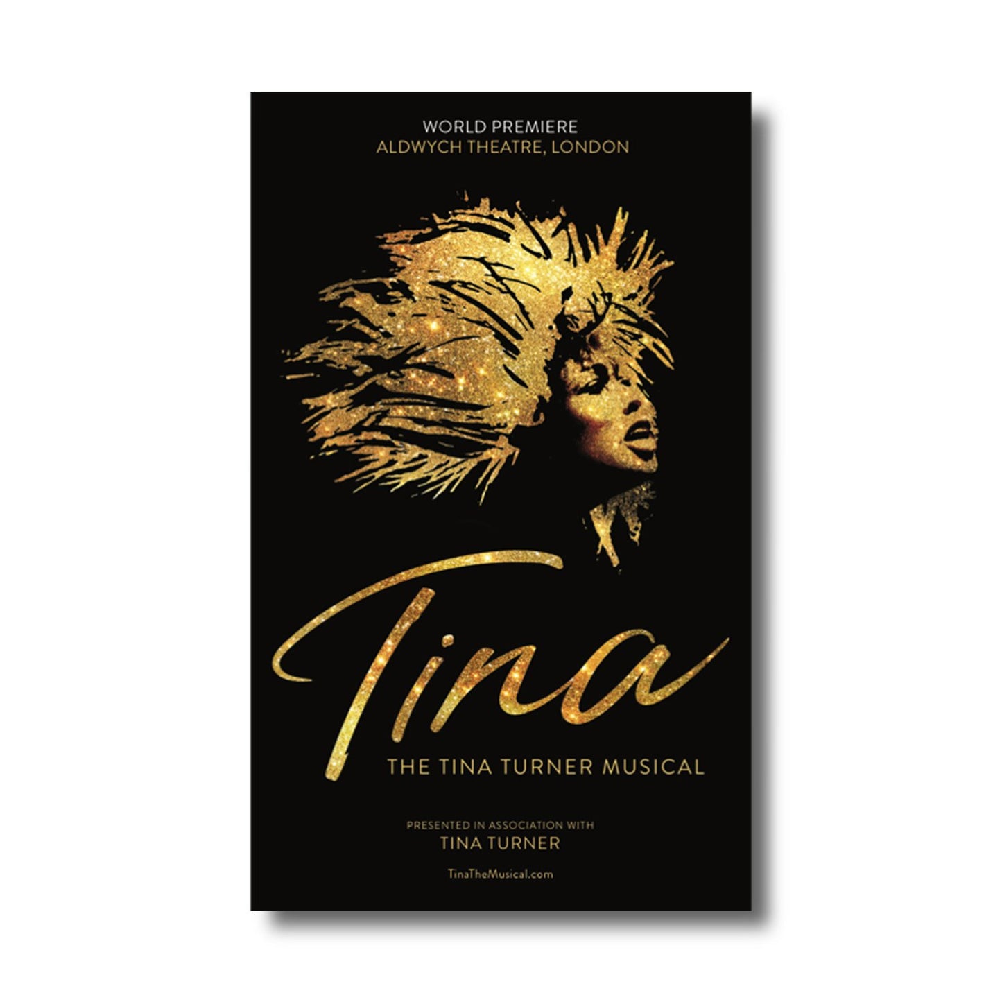 TINA Poster